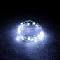 Электрогирлянда "Нить" 20 холодных LED ламп РОСА, серебристый провод, 2 м, на батарейках (не в комплекте), с пультом, дисплей-бокс /200/50. Навигационное фото 2