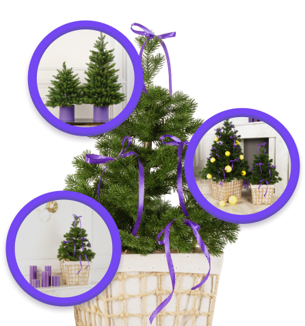              Маленькая, да удаленькая