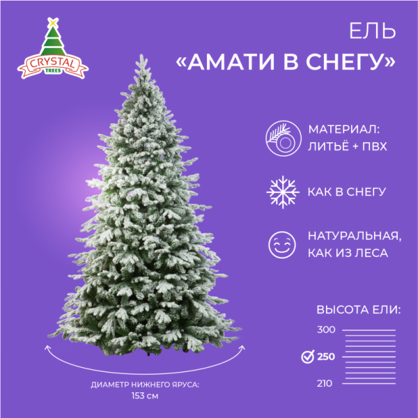 Ель АМАТИ в снегу 250 см.