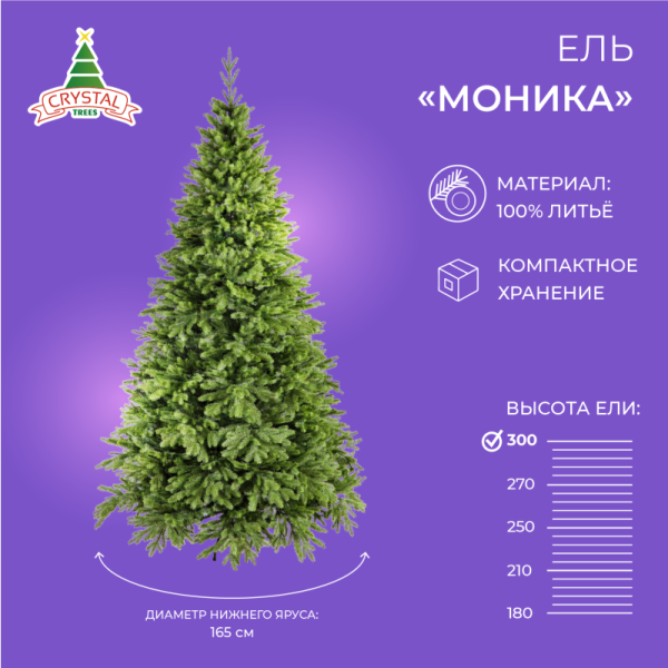 Ель МОНИКА