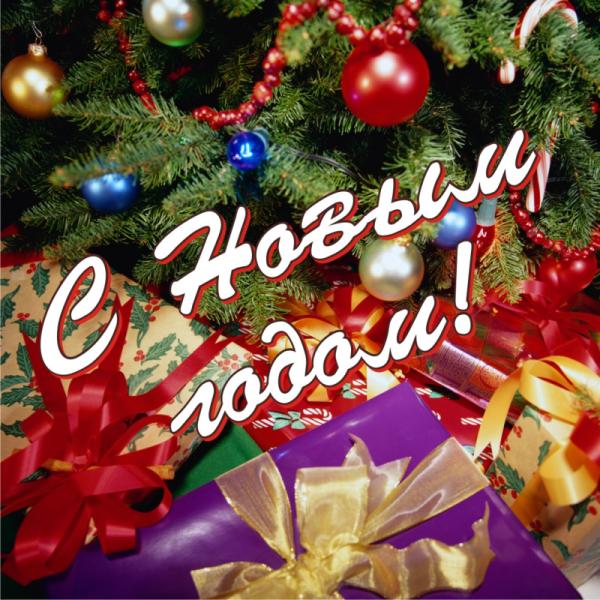 Ограждение для КАРКАСНОЙ ели 7 м
