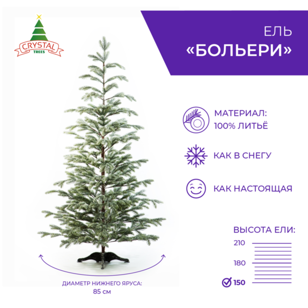 Ель БОЛЬЕРИ в снегу 150 см.