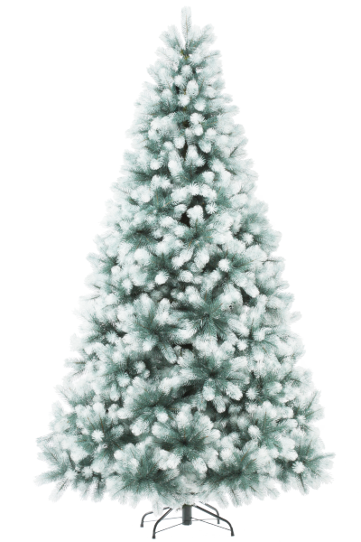 Сосна ШВЕЙЦАРСКАЯ снежная 270 см