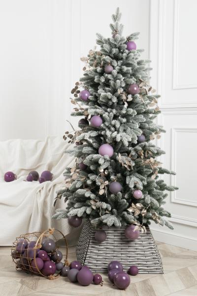 Ель БАРСЕЛОНА в снегу