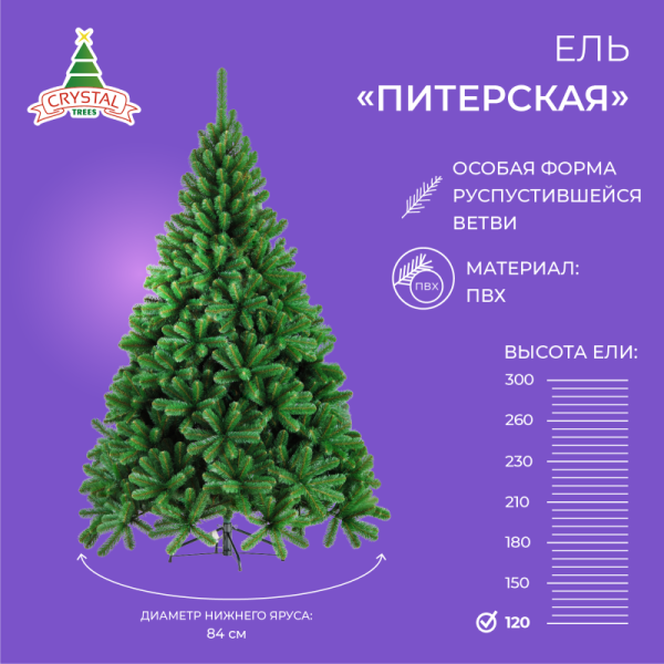 Ель ПИТЕРСКАЯ зеленая