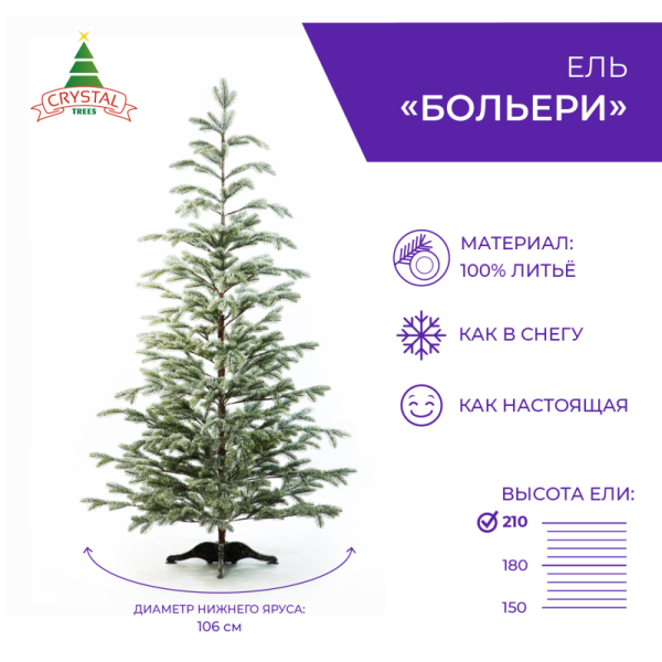 Ель БОЛЬЕРИ в снегу 210 см.