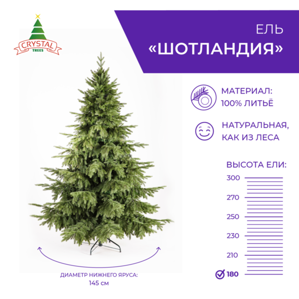 Ель ШОТЛАНДИЯ 180 см.