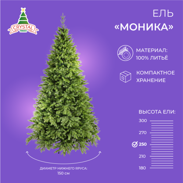 Ель МОНИКА