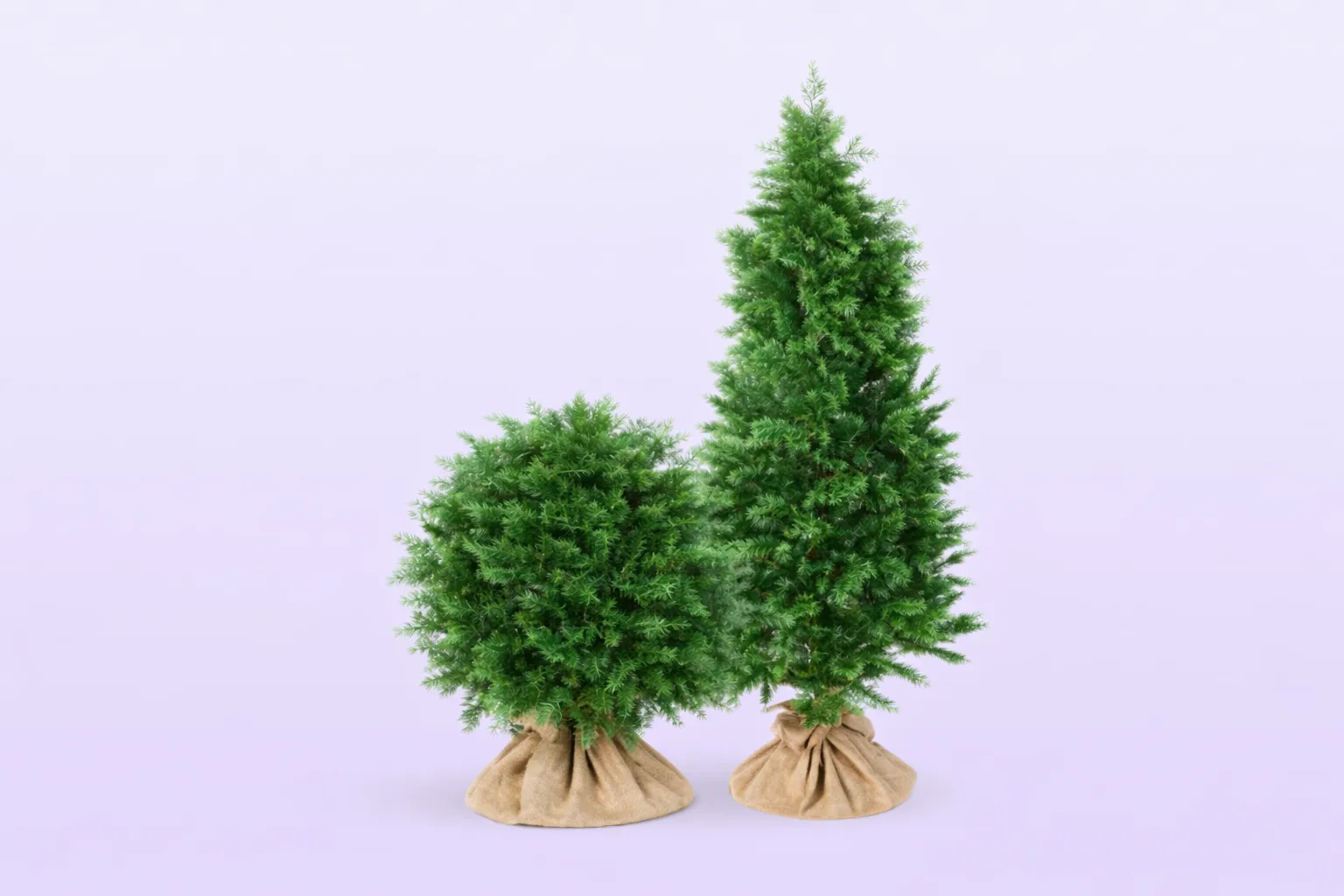 Искусственные туи: вечнозеленая классика для вашего пространства Искусственные туи: вечнозеленая классика для вашего пространства