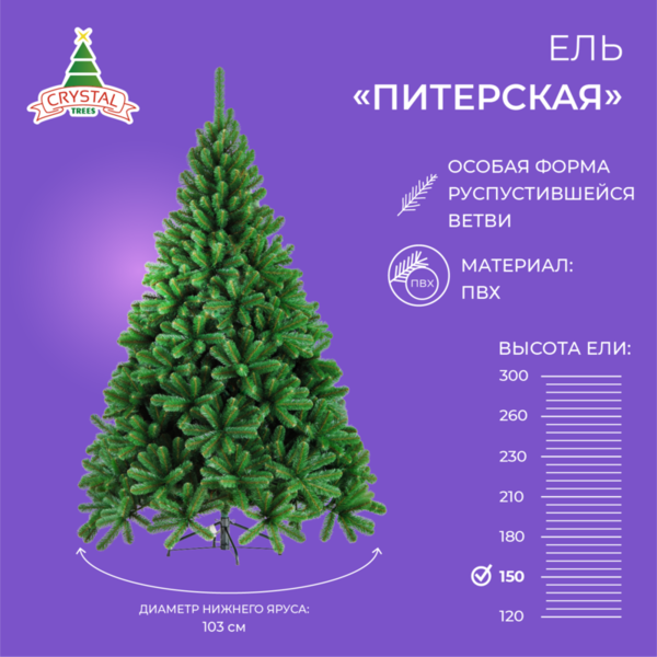 Ель ПИТЕРСКАЯ зеленая 150 см.