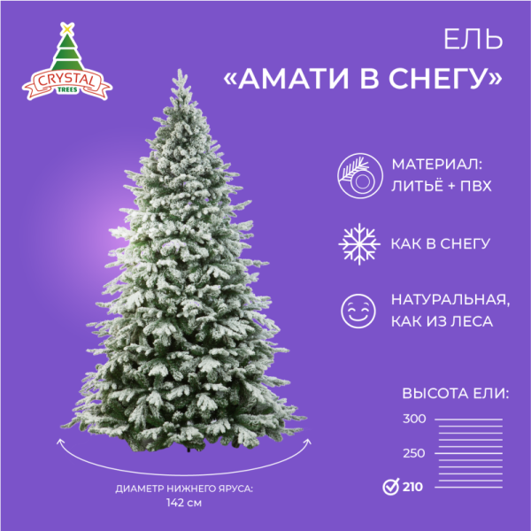 Ель АМАТИ в снегу
