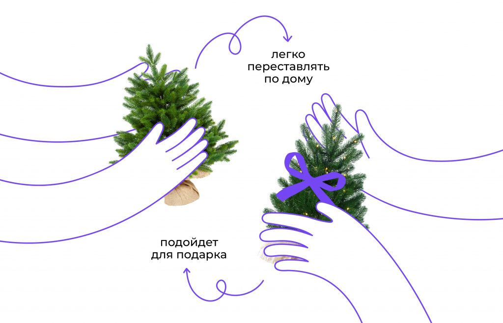 мини ели 2.png мини ели 2.png