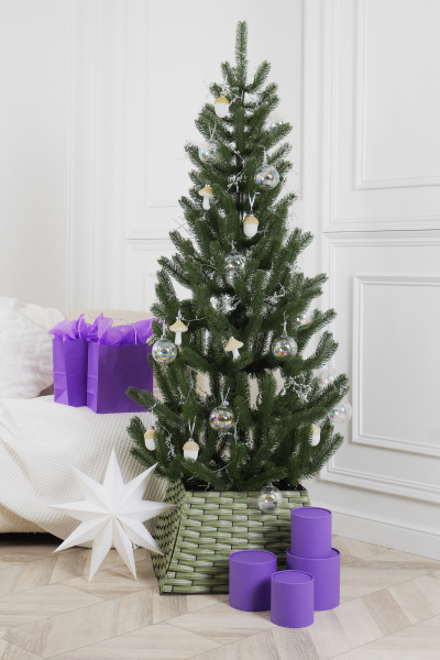 Ель ЛУКОМОРЬЕ