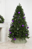 Ель МЕТЕЛИЦА 210 см