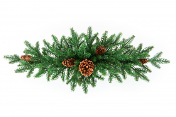 Сваг МОНИКА с шишками  L75см