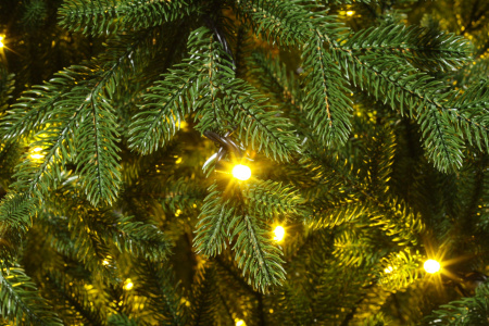 Ель Вега с освещением