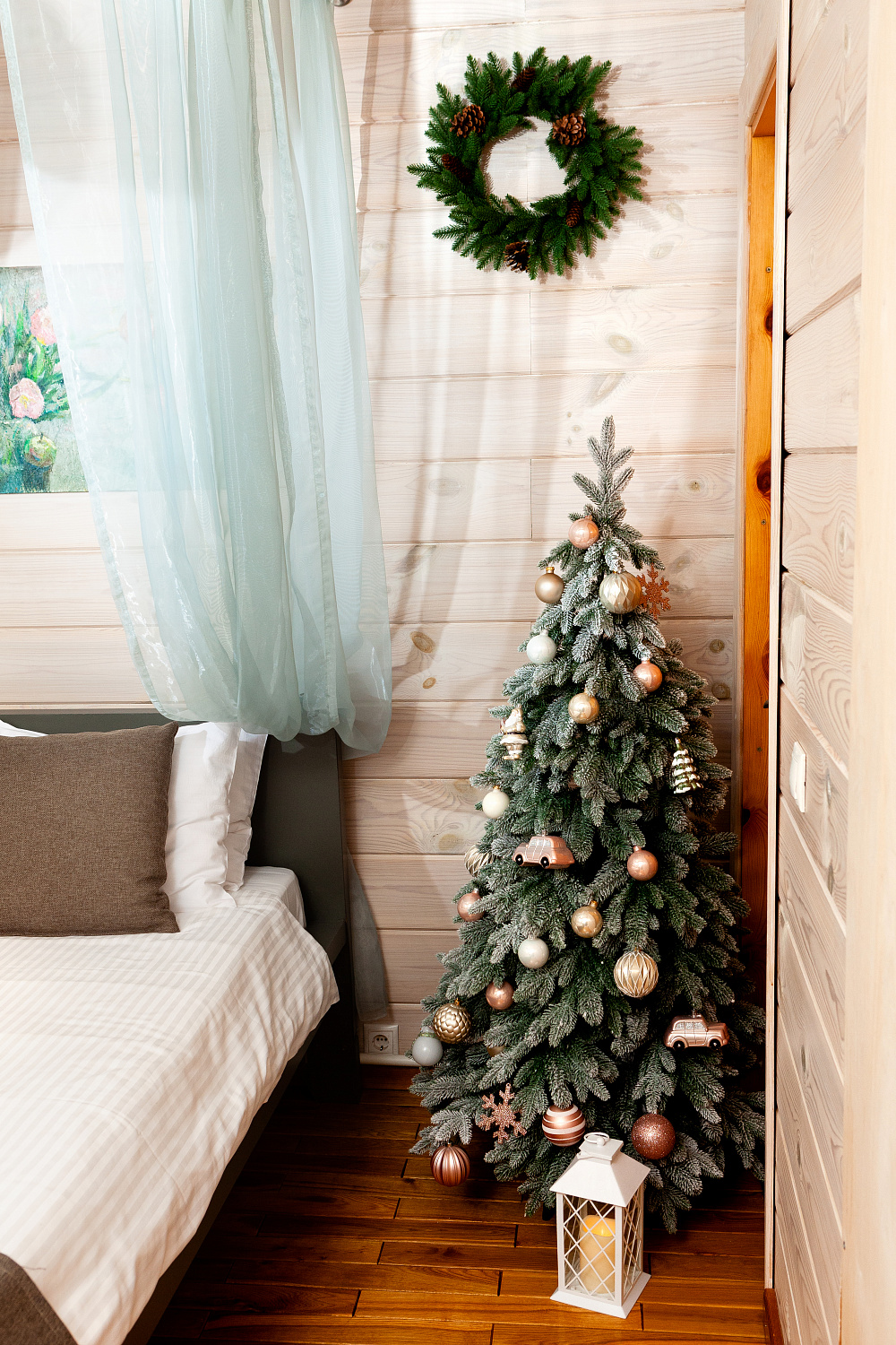 Ель АНДОРРА в снегу