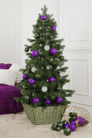 Ель ЗВЕЗДНАЯ