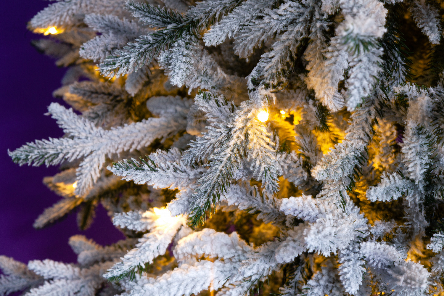 Ель ПЕРСЕЯ в снегу с вплетенной гирляндой