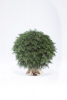 Искусственная Туя-шар