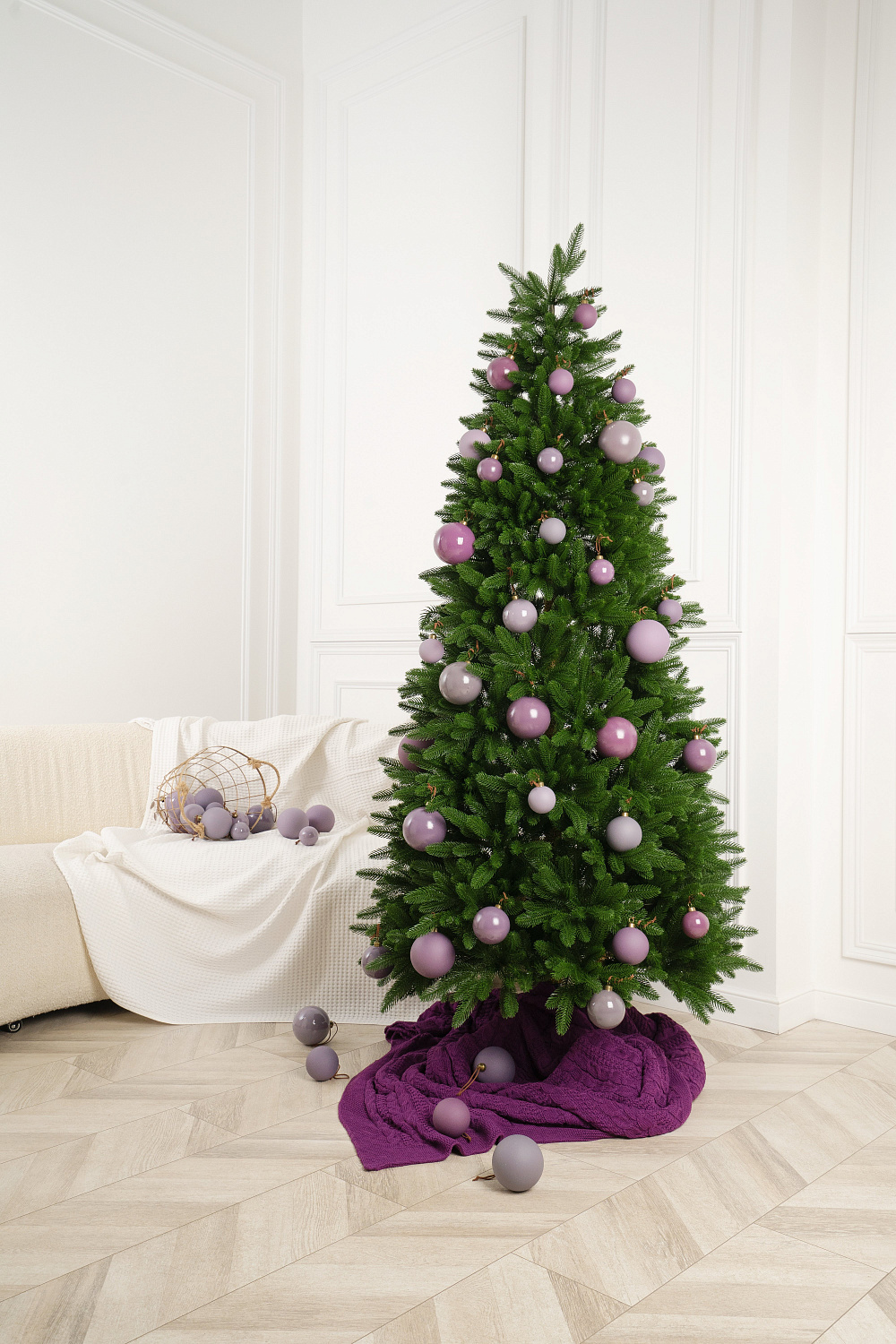 Ель МОРОЗКО