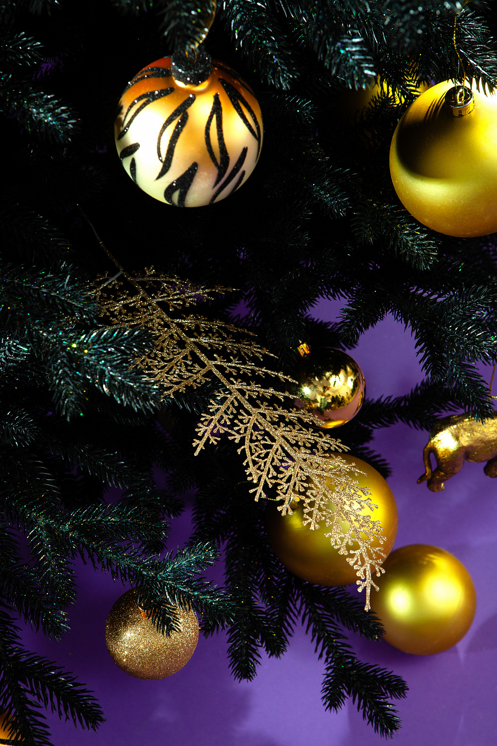 Ель ЗВЕЗДНАЯ РОССЫПЬ