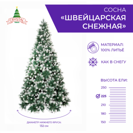 Сосна ШВЕЙЦАРСКАЯ снежная