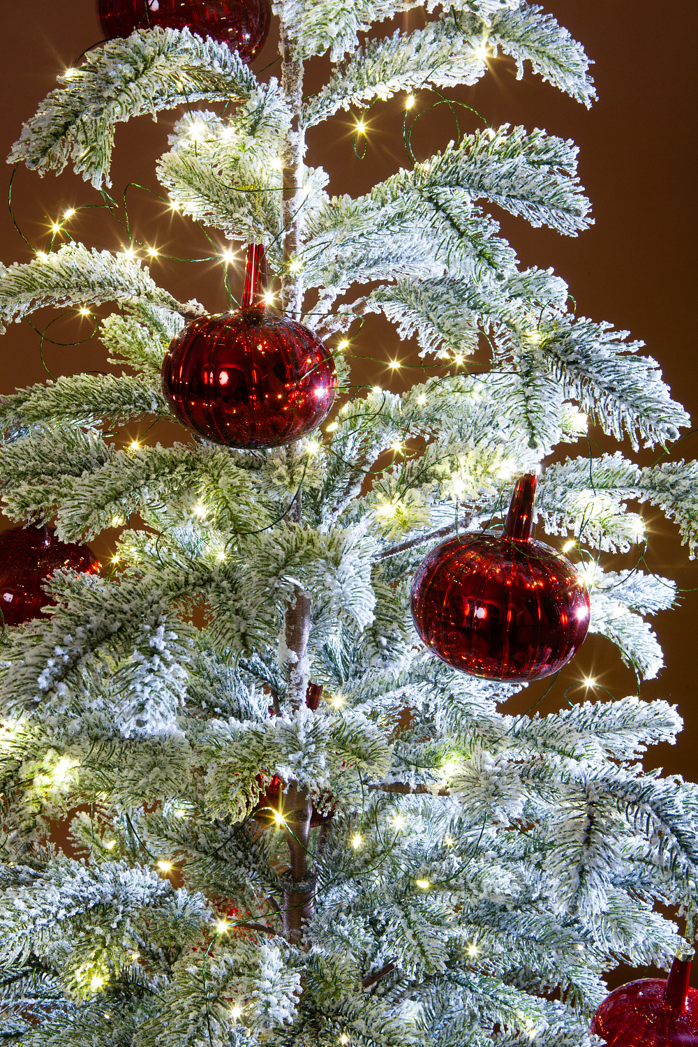 Ель БОЛЬЕРИ в снегу