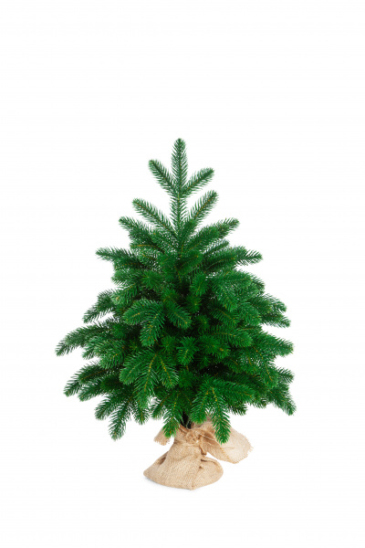 Ель БЕРМИНГЕМ 60 см.