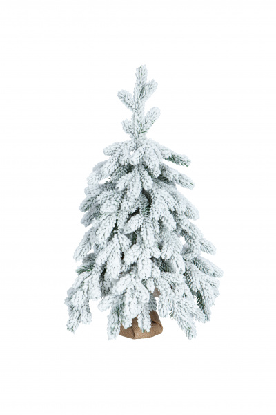 Ель ЭМИЛИ зеленая в снегу