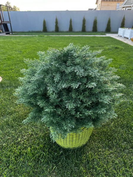 Искусственная туя шаровидная 65 см