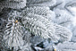 Ель МОЛЬВЕНО в снегу с вплетенной гирляндой 155 см.. Навигационное фото 2