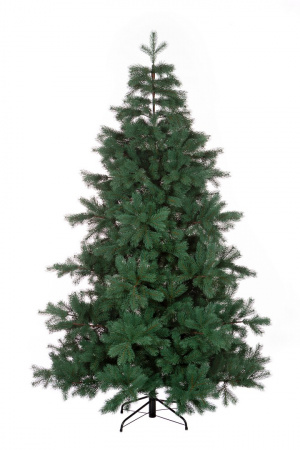 Сосна ХИЛТОН зелено-голубая