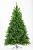 Ель УРАЛЬСКАЯ стройная 270см