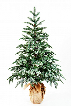 Ель ВИСКРИ заснеженная