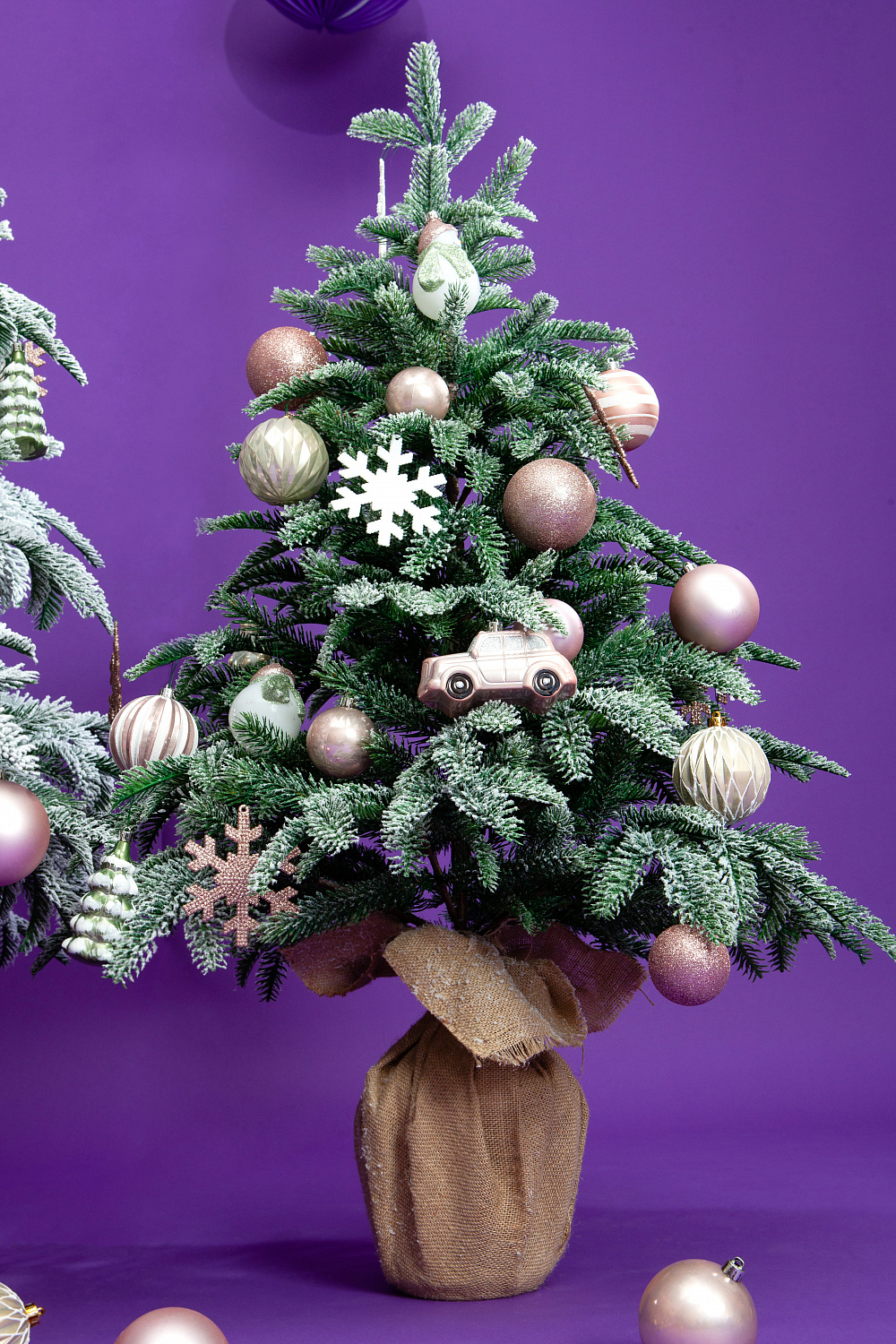 Ель ВИСКРИ заснеженная