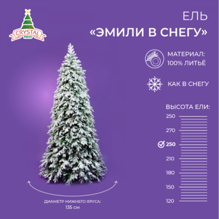 Ель ЭМИЛИ зеленая в снегу