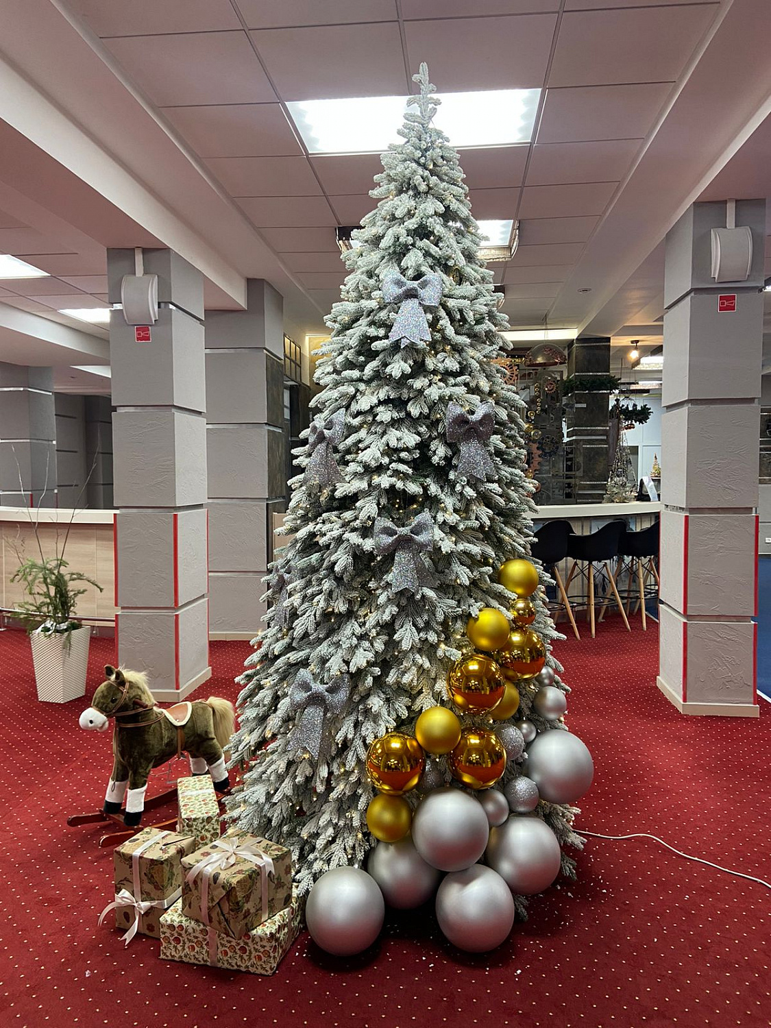 Ель ЭМИЛИ зеленая в снегу