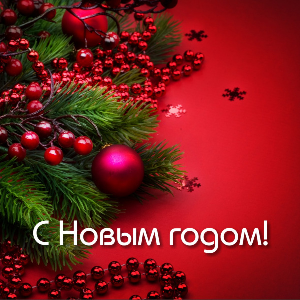 Ограждение для КАРКАСНОЙ ели