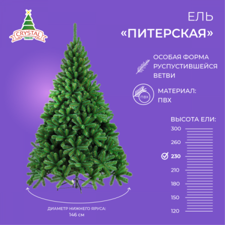 Ель ПИТЕРСКАЯ зеленая