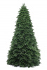 Ель ПАУЛИСТА 150 см