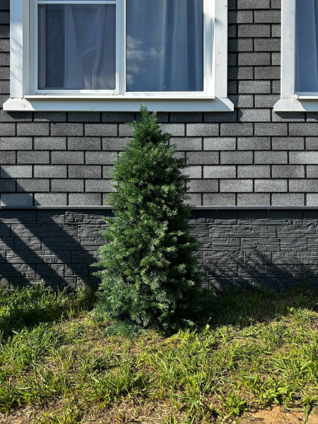 Искусственная Туя