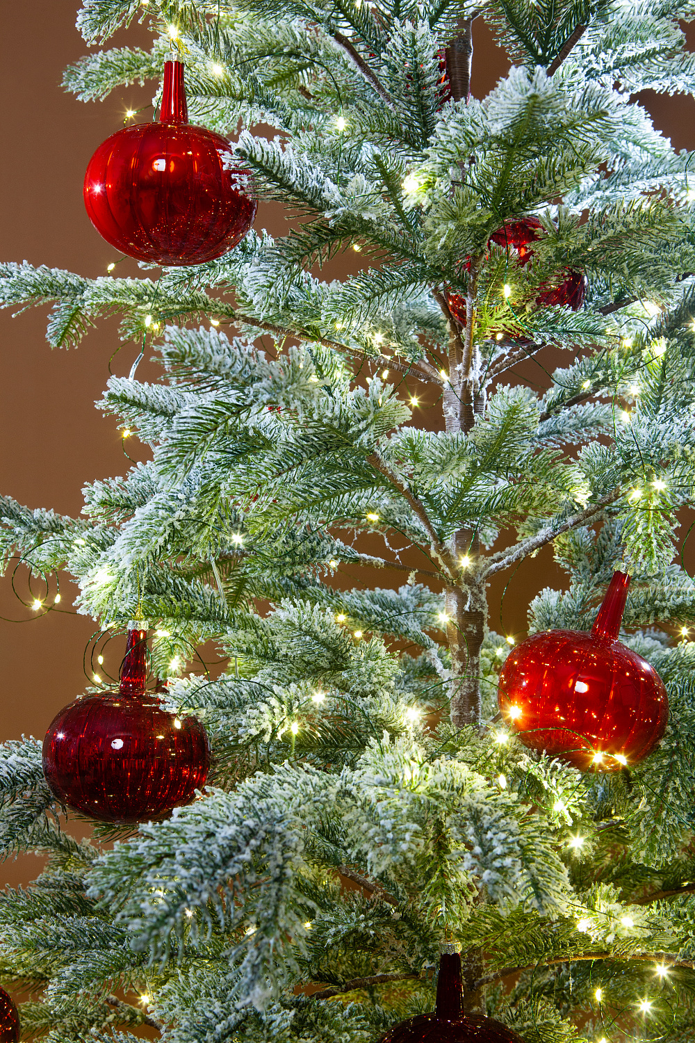 Ель БОЛЬЕРИ в снегу