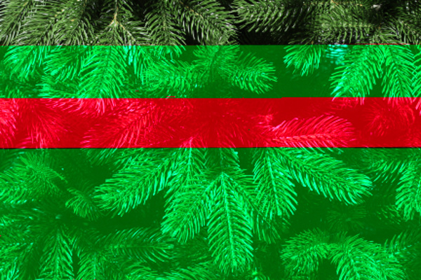 Ель Хлоя