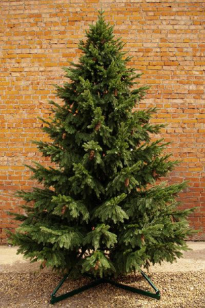 Ель "Сказочная с шишками"