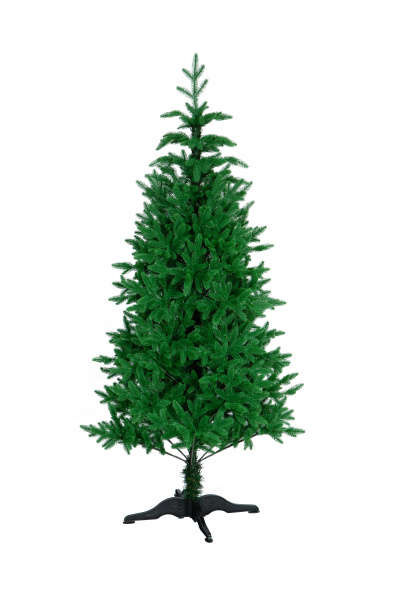 Ель ЛАПЛАНДИЯ