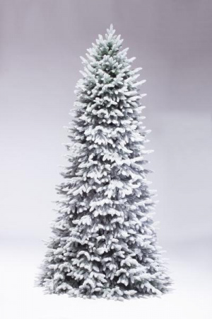 Ель Моника заснеженная