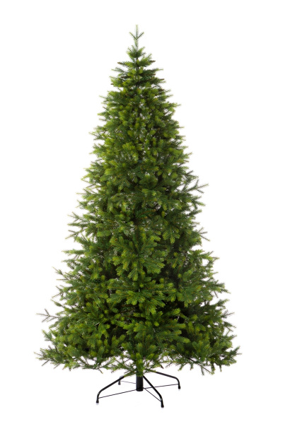 Ель КНЯЖЕСКАЯ зеленая