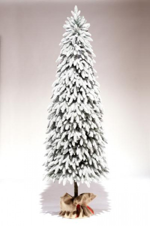 Ель Иветта заснеженная