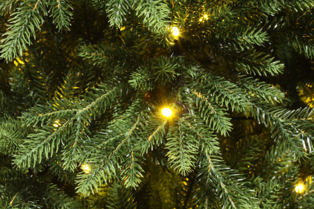 Ель Юлия Премиум с освещением